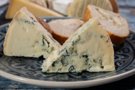 Collection de fromages, morceau de fromage bleu auvergne ou fourme d'ambert close up