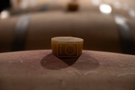Bodega de vinos con barricas de roble francés para el envejecimiento del vino tinto elaborado a partir de uva Cabernet Sauvignon, viñedos Haut-Medoc en Burdeos, margen izquierda del estuario Gironda, Pauillac, Francia