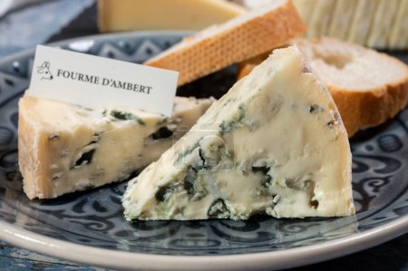 Käsekollektion, Stück französischer Blauschimmelkäse Auvergne oder Fourme d 'ambert aus nächster Nähe