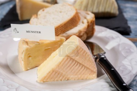 Munster gerome French cheese, strong-smelling soft cheese with subtle taste, made mainly from milk first produced in Vosges mountains, close up