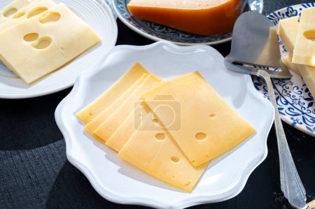 Colección de quesos, quesos duros maduros holandeses hechos de leche de vaca en los Países Bajos en trozos y rebanados de cerca