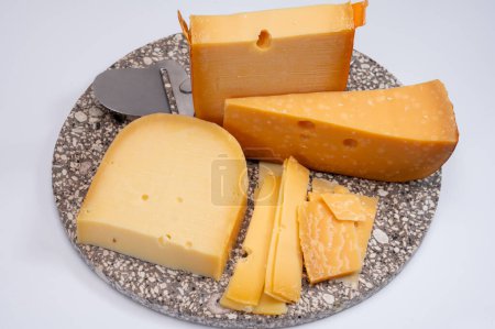 Colección de quesos holandeses muy viejos 1000 días quesos duros maduros hechos de leche de vaca en los Países Bajos de cerca