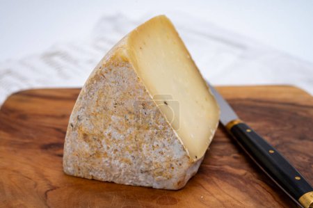 Pièce de fromage à pâte dure Ciambella Trufilo à base de truffe d "été provenant du lait de vache piémontais dans la région de Langa, Italie