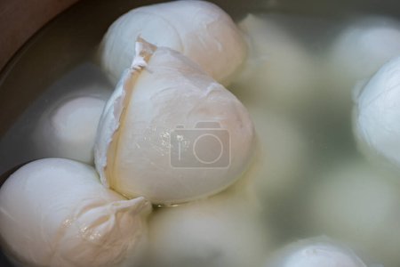 Cheese collection, white balls of soft Italian cheese mozzarella, served with olive oil, fresh basil leaves close up