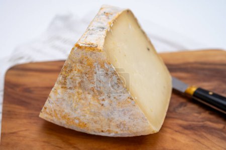 Pièce de fromage à pâte dure Ciambella Trufilo à base de truffe d "été provenant du lait de vache piémontais dans la région de Langa, Italie