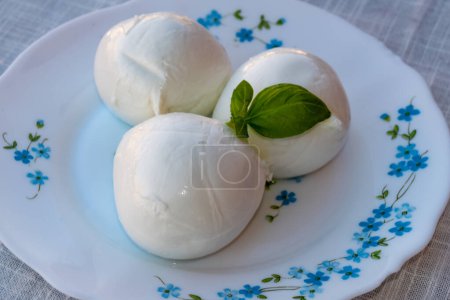 Cheese collection, white balls of soft Italian cheese mozzarella, served with olive oil, fresh basil leaves close up