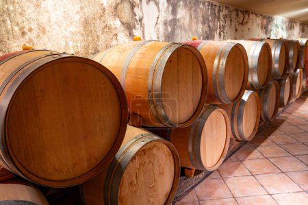 French oak wooden barrels for aging red wine in underground cellar, Saint-Emilion wine making region picking, cru class Merlot or Cabernet Sauvignon red wine grapes, France, great wines of Bordeaux