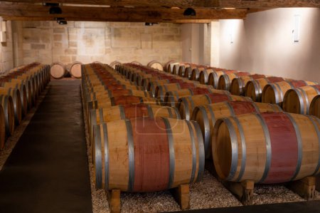 barricas de madera de roble francés para el envejecimiento del vino tinto en la bodega, Saint-Emilion región vinícola recoger, clasificación con las manos y trituración Merlot, Cabernet Sauvignon uvas de vino tinto, Francia, Burdeos