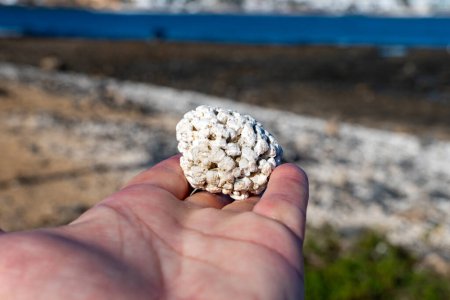 Palomitas blancas en forma de corales en la playa de corales blancos en Corralejo, Fuerteventura, Islas Canarias, España, destino de viaje en invierno