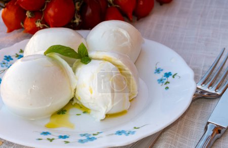 Cheese collection, white balls of soft Italian cheese mozzarella, served with olive oil, tomatoes, fresh basil leaves close up