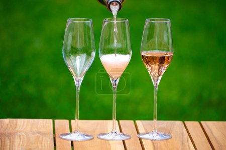 Picnic on green grass with glasses of rose champagne sparkling wine or cava, cremant produced by traditional method in caves on Marne river, Champagne region, France