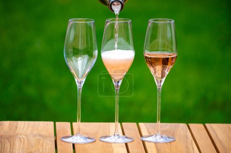 Pique-nique sur herbe verte avec verres de champagne rose mousseux ou cava, crémant produit par méthode traditionnelle dans des grottes sur la rivière Marne, Champagne, France