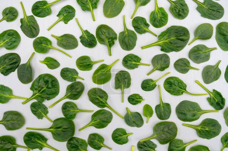 Fresh green baby Spinach leaves, diet and healthy food concept, weight loss, spinach background top view
