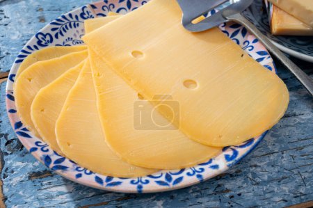 Cheese collection, Dutch ripe hard chees made from cow milk in the Netherlands in piece and sliced close up
