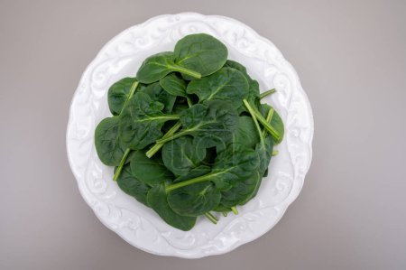 Fresh green baby Spinach leaves, diet and health concept, weight loss, washed spinach on ceramic plate, copy space