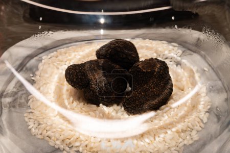 Black winter Perigord french truffles mushrooms, tasty fresh Tuber melanosporum, in glass container for sale