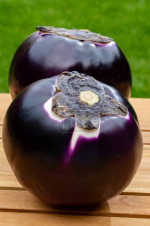 Frische reife violette Erdkugel Violetta Auberginen Gemüse aus Sizilien bereit zum Kochen, gesunde italienische Küche