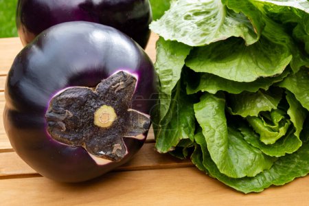 Fresh ripe purple globe Violetta eggplants vegetables from Sicily and green Romaine lettuce, healthy Italian food