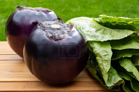 Fresh ripe purple globe Violetta eggplants vegetables from Sicily and green Romaine lettuce, healthy Italian food