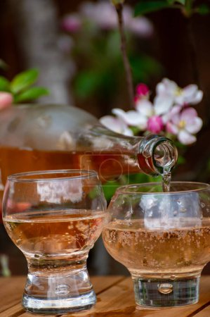 Versement de cidre de pomme brut froid de Normandie en verre, France et fleur de pommier dans le jardin sur le fond le jour ensoleillé du printemps
