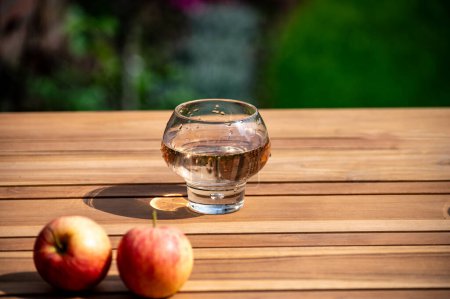 Brut apple cider from Betuwe, Gelderland, in glass on wooden table, apple cider production in Netherlands