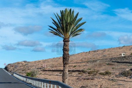 Mountain asphalt road on colourful remote basal hills and mountains of Massif of Betancuria, Fuerteventura, Canary islands, Spain, travel destination