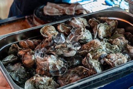 Frische creuze cancale rohe Austern Schalentiere auf Eis auf dem Markt