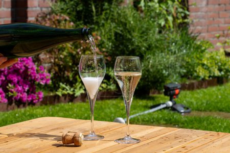 Pique-nique dans le jardin d'été avec des verres de champagne brut mousseux ou cava, crémant produit par la méthode traditionnelle, temps de fête