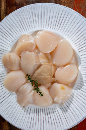 Atlantic bay cleaned scallops coquille St. James sea shells on plate, catch of the day in Normandy or Brittany, France