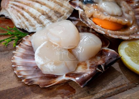 Atlantic bay scallops coquille St. James sea shells, in shells and cleaned, catch of the day in Normandy or Brittany, France on fish market