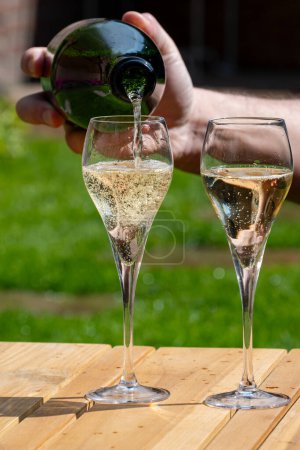 Picnic in summer garden with glasses of brut champagne sparkling wine or cava, cremant produced by traditional method, party time