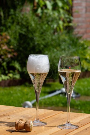 Picnic in summer garden with glasses of brut champagne sparkling wine or cava, cremant produced by traditional method, party time