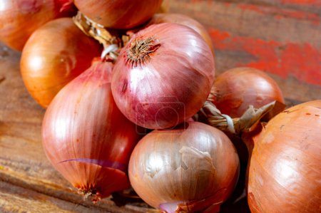 Bunch of french AOP strong pink onions from Roscoff village in Brittany, France