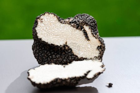 Italian black summer truffle, tasty aromatic mushroom, gourmet cuisine, close up