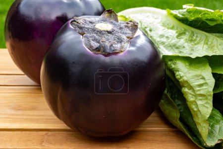Frische reife violette Erdkugel Violetta Auberginen Gemüse aus Sizilien und grünem Romaine Salat, gesunde italienische Küche