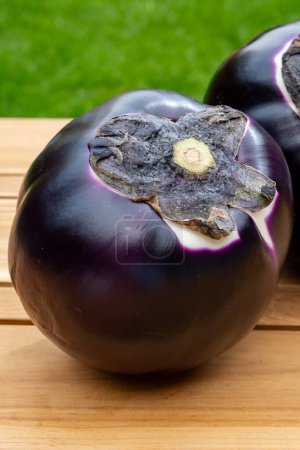 Fresco globo púrpura madura berenjenas Violetta verduras de Sicilia listo para cocinar, comida italiana saludable