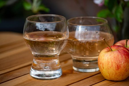 Cidre de pomme brut de Betuwe, Gueldre, en verres et fleur de pommier dans le jardin sur le fond le jour ensoleillé du printemps, la production de cidre de pomme aux Pays-Bas