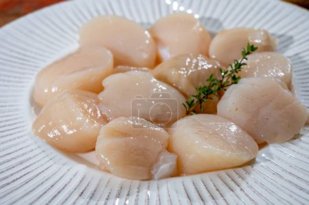 Atlantic bay cleaned scallops coquille St. James sea shells on plate, catch of the day in Normandy or Brittany, France