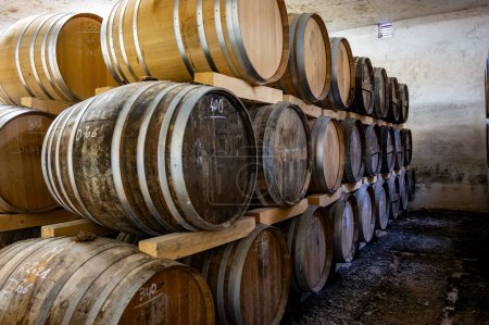 Aging process of cognac spirit in old dark French oak barrels in cool cellar in distillery house, Cognac white wine region, Charente, Segonzac, Grand Champagne, France