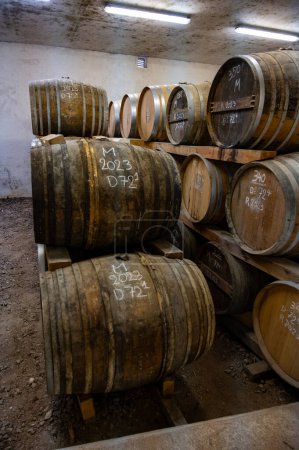 Proceso de envejecimiento del alcohol de coñac en barricas viejas de roble francés oscuro en bodega fresca en la destilería, región de vino blanco de Cognac, Charente, Segonzac, Grand Champagne, Francia