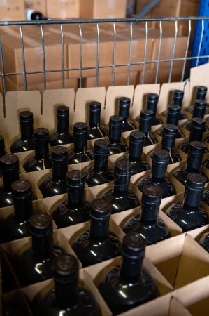 Storage of bottles of cognac spirit aged in French oak barrels for sale in shop in distillery house, Cognac white wine region, Charente, Segonzac, Grand Champagne, France