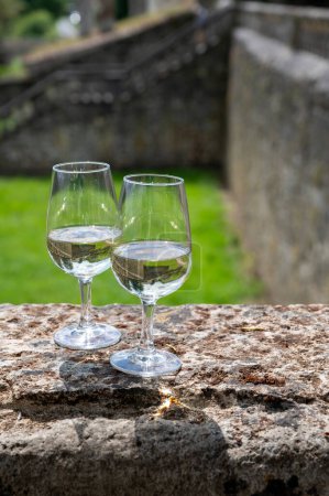 Weißweingläser in alter Weindomäne auf den Weinbergen von Sauternes im Dorf Barsac und alte Burg im Hintergrund, Bordeaux, Frankreich