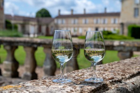 Weißweingläser in alter Weindomäne auf den Weinbergen von Sauternes im Dorf Barsac und alte Burg im Hintergrund, Bordeaux, Frankreich