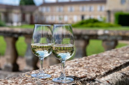 Tasing copas de vino blanco en el dominio del vino viejo en los viñedos Sauternes en Barsac pueblo y el castillo viejo en el fondo, Burdeos, Francia