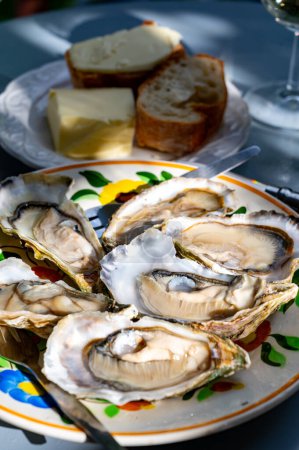 Assiette avec coquillages d'huîtres crues fraîches et vivantes avec citron, pain, beurre et vin blanc servi au restaurant du village ostréicole, baie d'Arcachon, port de Gujan-Mestras, France