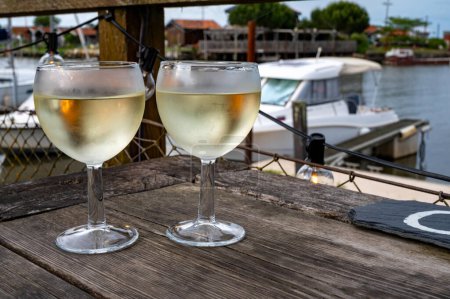 Tasting of Bordeaux white wine, France. Glasses of white sweet French wine served in outdoor restaurant, oysters farm in Gujan-Mestras, Arcachon bay