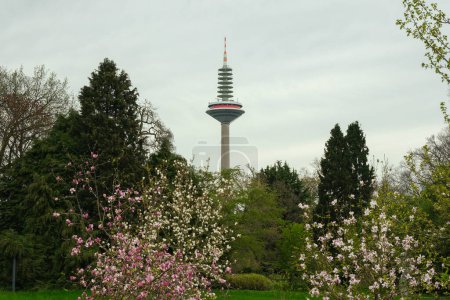Europaturm Ginnheimer Spargel Bundesbankpark Frankfurt am Main