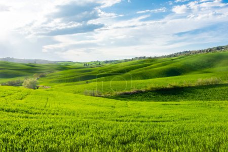 Green hills of the Tuscany countryside, Italy