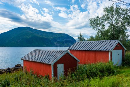 Téléchargez les photos : Maisons rouges typiques à Senja Island, Norvège - en image libre de droit