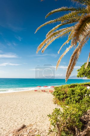 Foto de Palma en la playa de Varigotti, Mar de Liguria - Imagen libre de derechos
